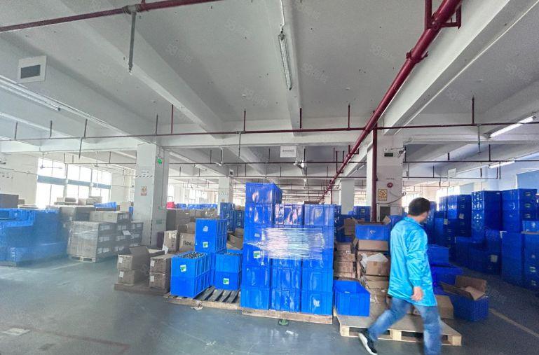 大浪新百丽旁原房东红本5200平厂房 建筑面积含税出租