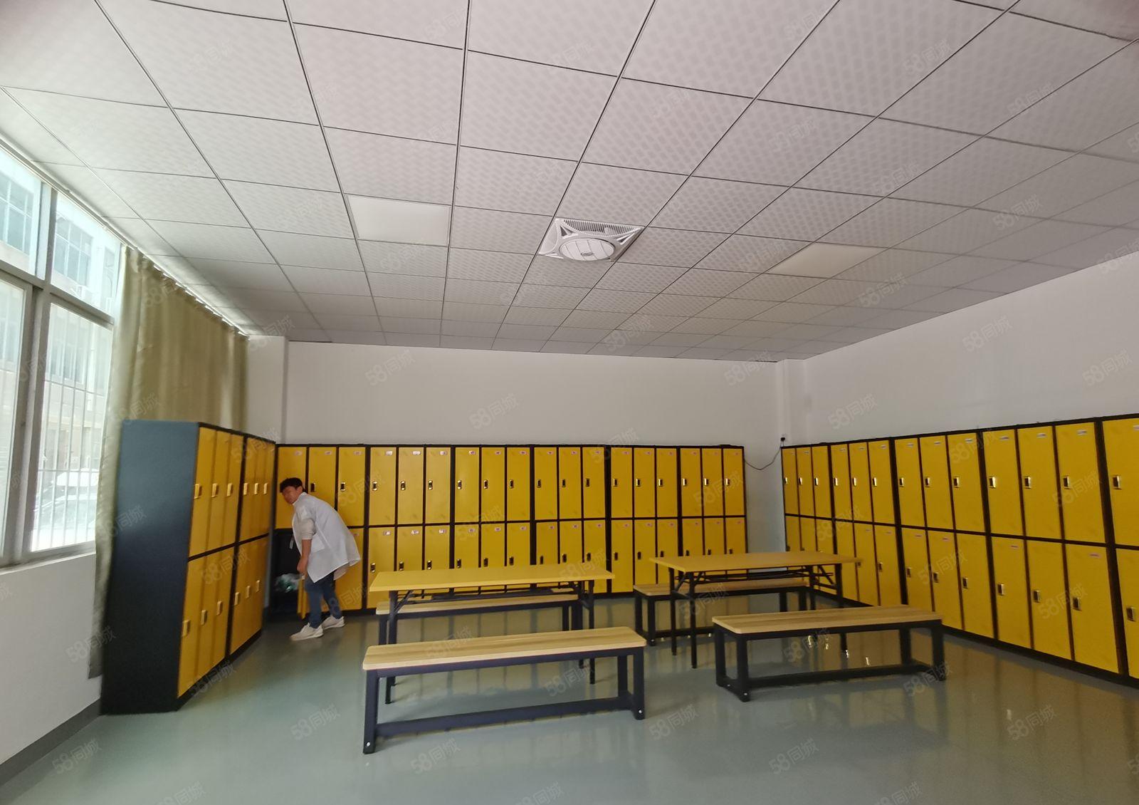 观澜大型工业园区楼上1600平，标准厂房，招租！