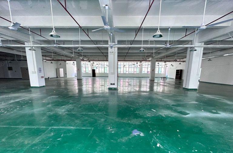 观澜茜坑原房东2000平花园式厂房出租带精装修办公室 可分租