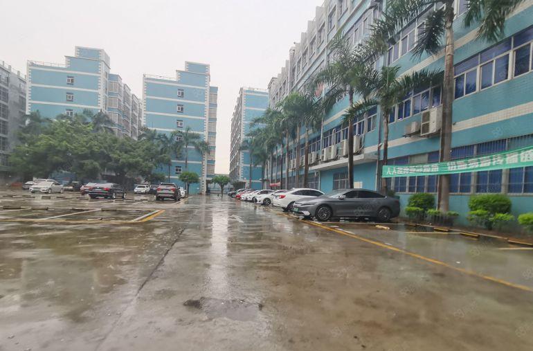 龙华厂房红本原房东整层5000平办公厂房仓库出租大小可以分租