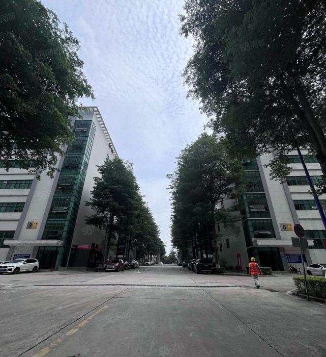 观澜牛湖附近带装修500起厂房出租 园区仓库大小面积可分租低