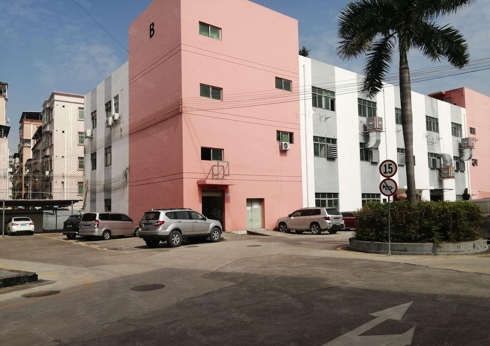 20元龙华大浪大浪南路600平车间吊顶园区形象好