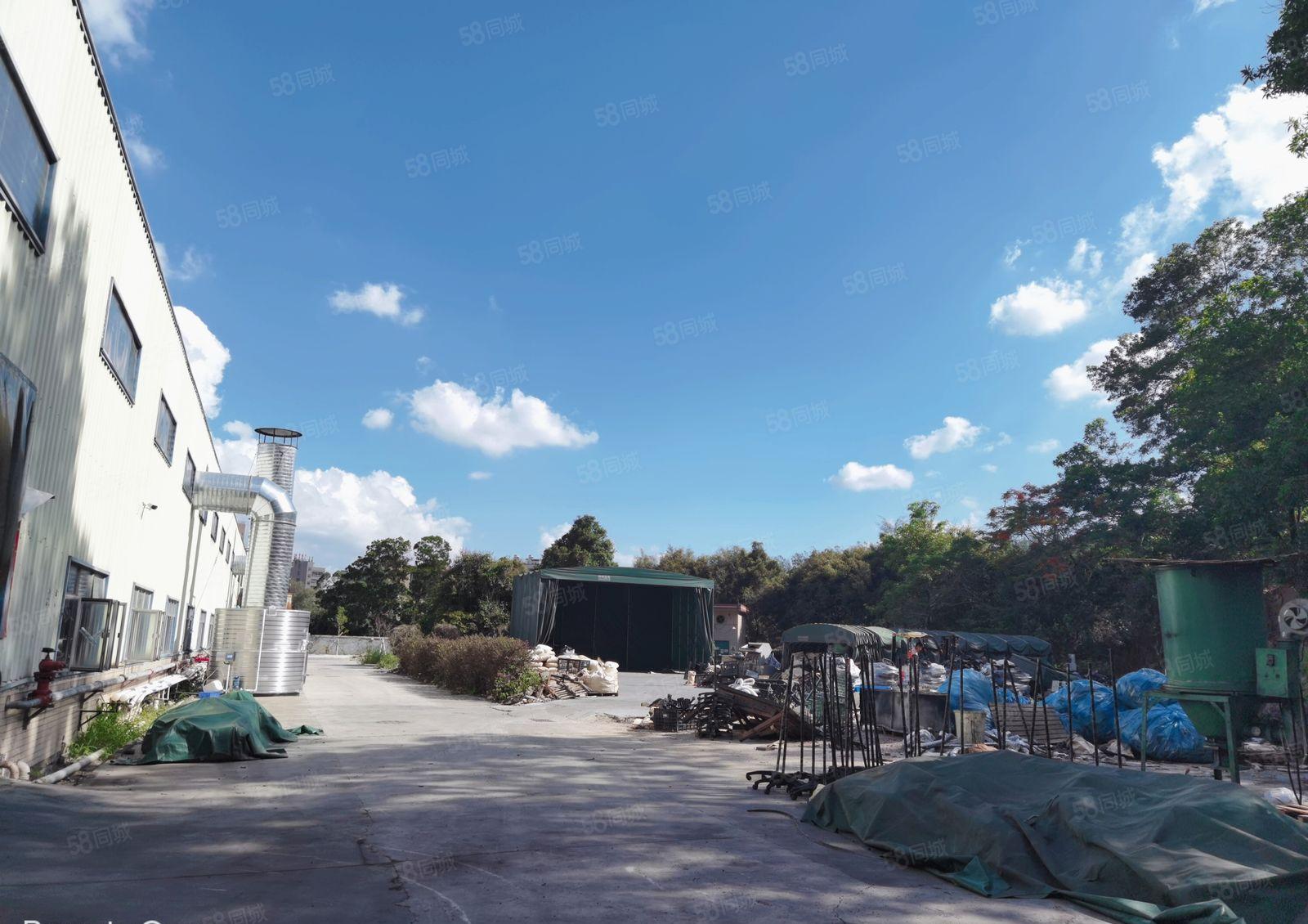 观澜主干道边新出单一层滴水8米钢构6000平米带隔热层