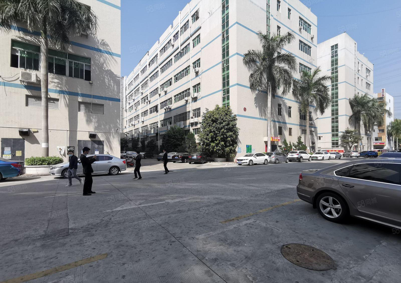 龙华大浪上横朗工业园1000平精装修办公室仓库厂房出租可分租