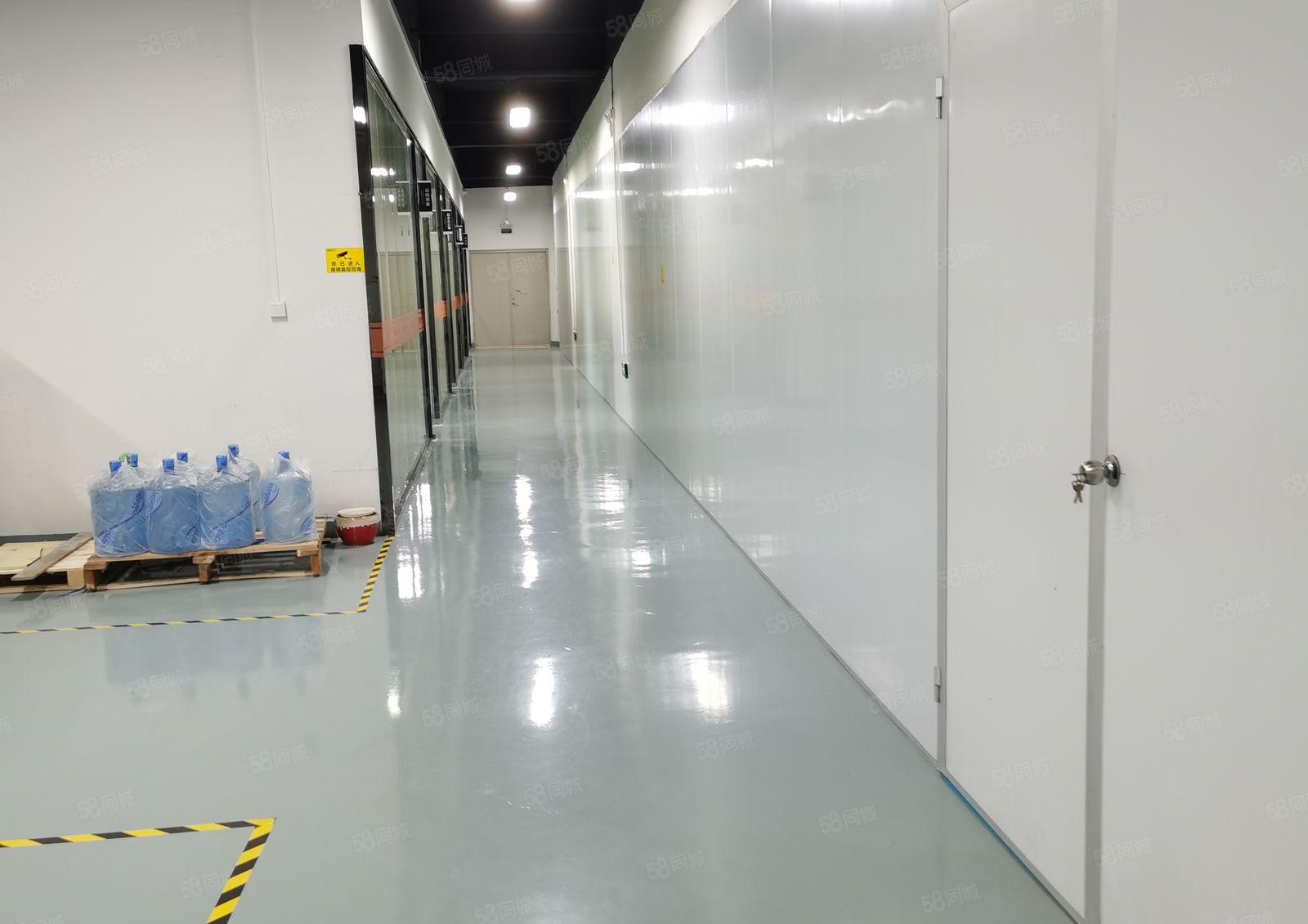 龙华区福城街新出六楼1050平方，无尘车间，厂房出租