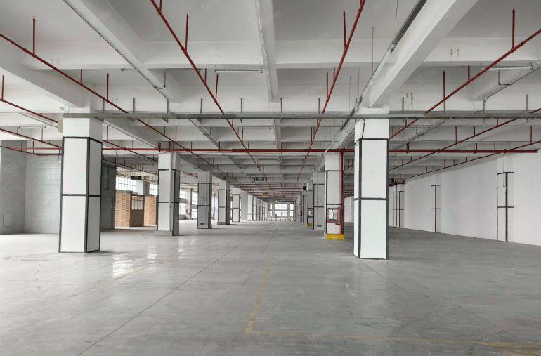 龙华一楼厂房 超大空地 大型厂房 油松湾区数字仓