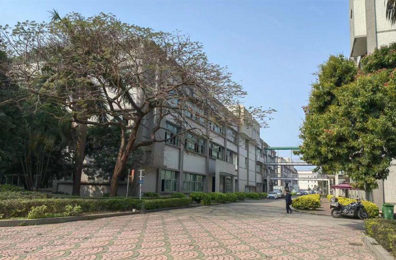 龙华大浪原房东科技园楼上2000平带装修办公室厂房出租可分租