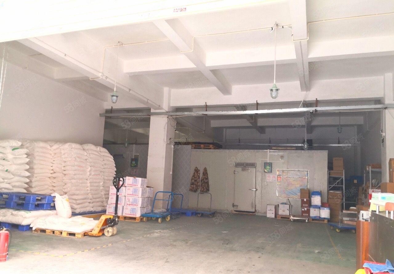 龙华汽车站附近新出一楼标准厂房1300平出租