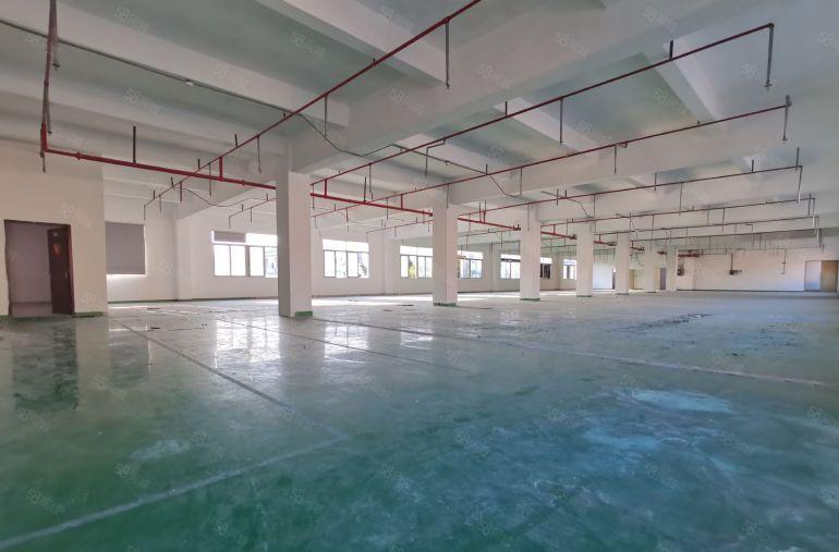 深圳龙华花园厂房独门独院仓库办公厂房仓库出租100平起分一楼