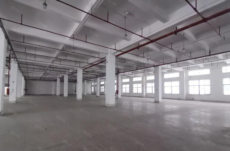 出租21块租龙华大浪1000平红本厂房原房东厂房仓库出租