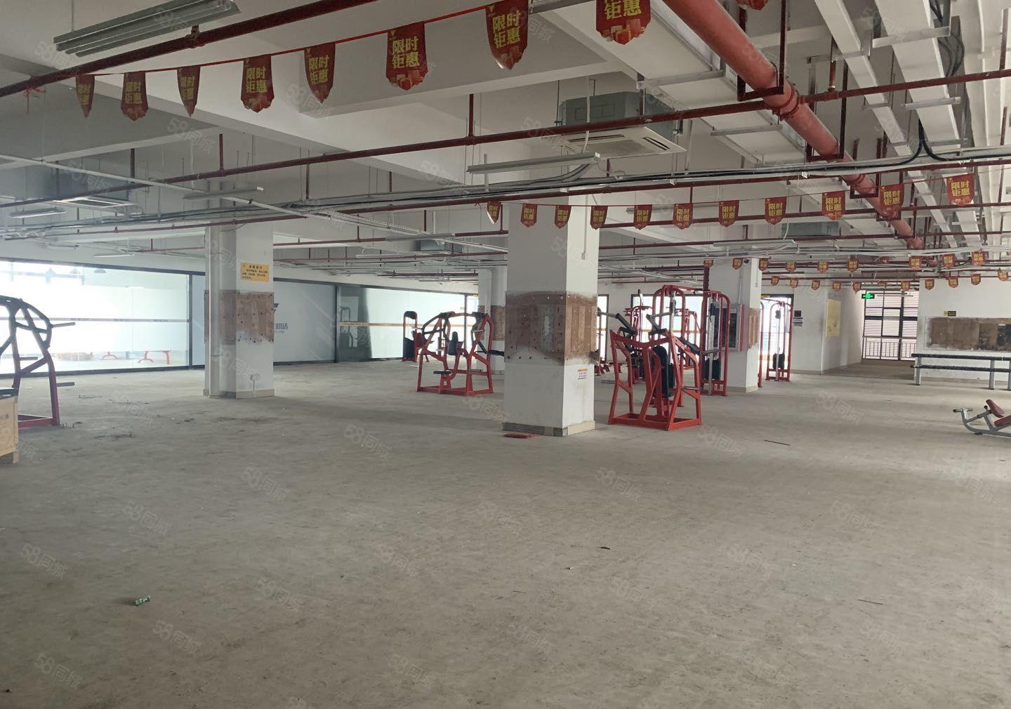 龙华新区大浪原房东独院6480平实际面积厂房出租，可分