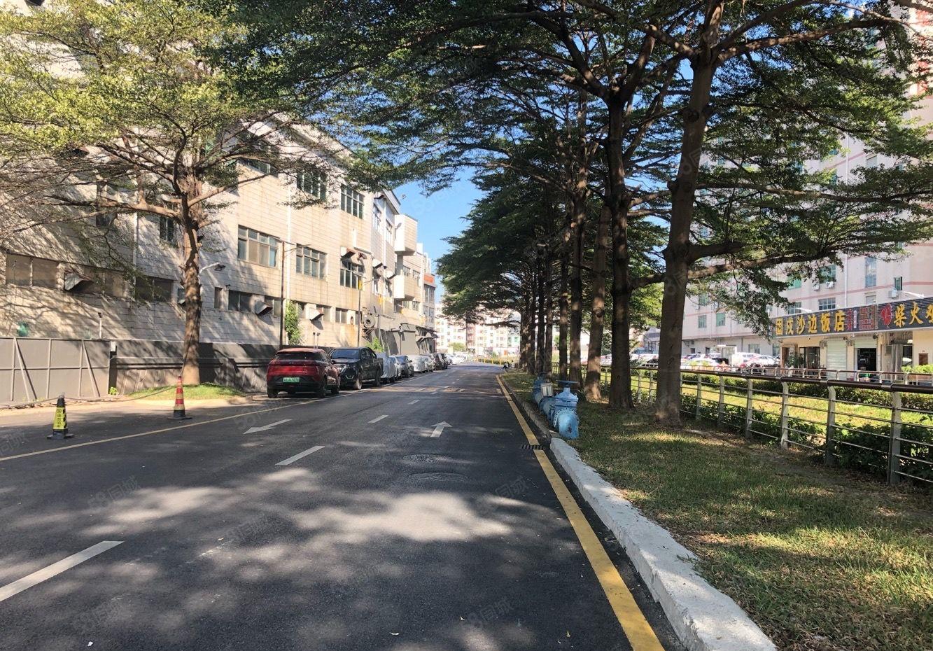 龙华大浪精装修厂房出租1650平可分租工业园一楼仓库出租空地