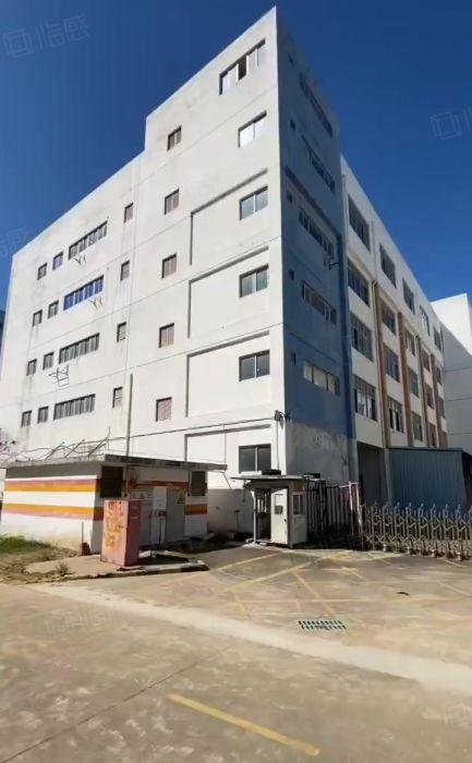 200平起租 观澜原房东红本工业园2000平一楼厂房低价出租