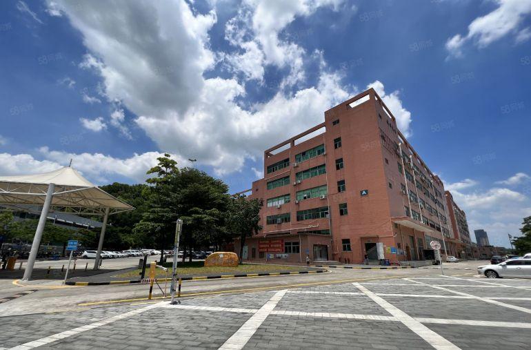 18元龙华大浪原房东工业区新出1000平精装办公仓库厂房出租