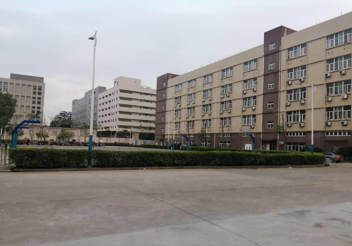 200平起分租章阁大富工业区1000平精装修办公仓库厂房出租