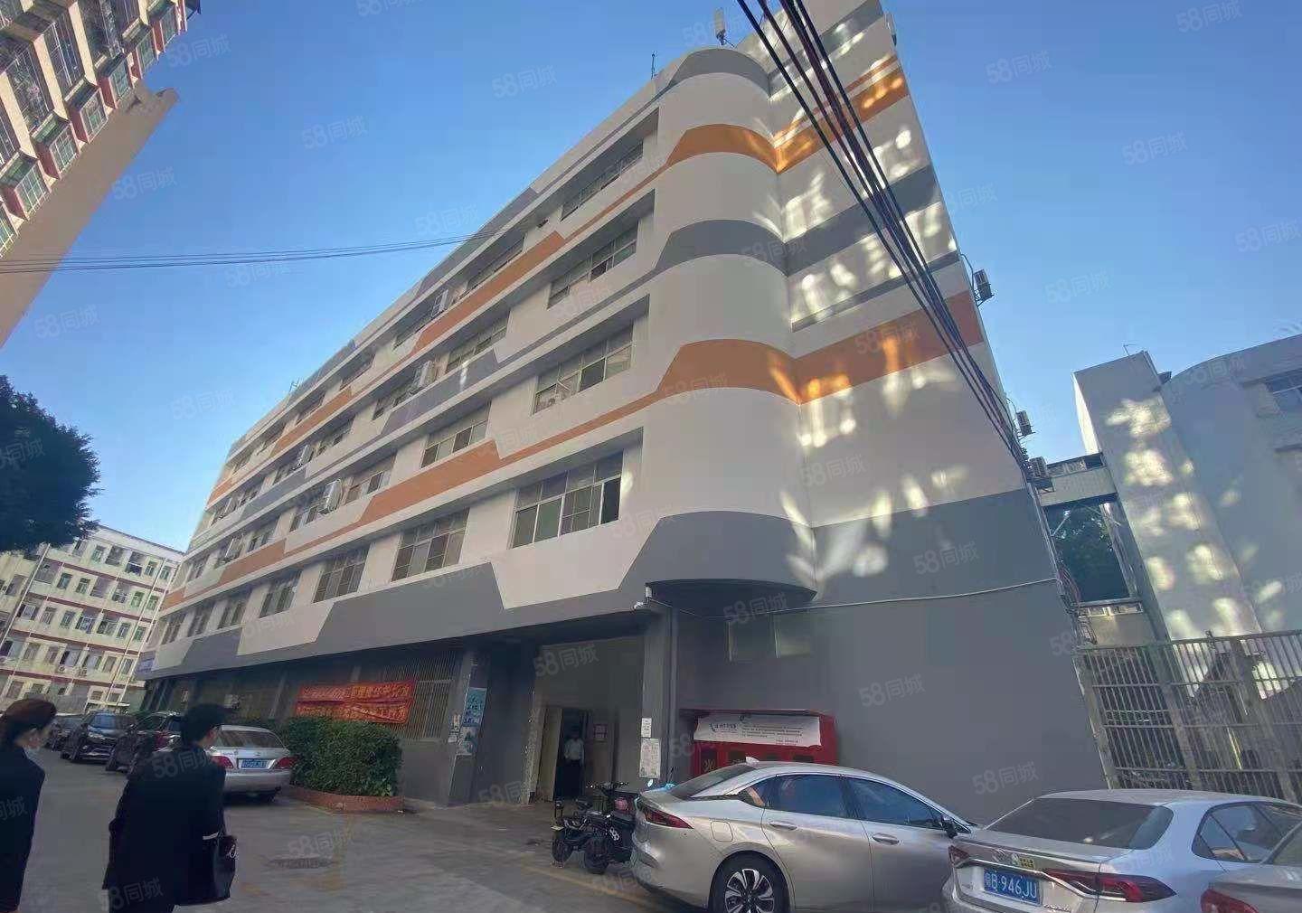 龙华天虹附近一楼475平标准厂房出租