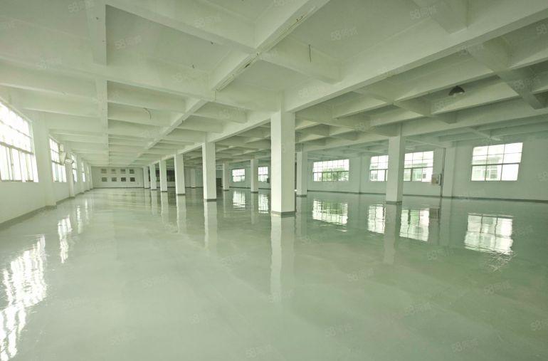 龙华大浪原房东工业园精装修厂房出租一楼300平起分租仓库