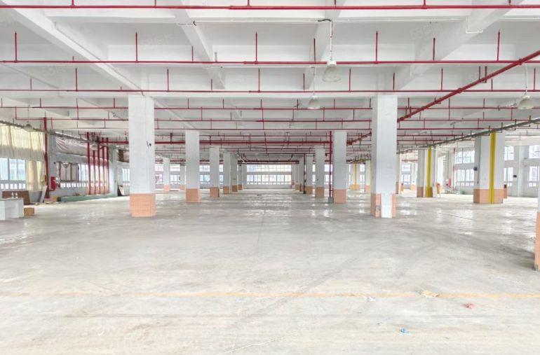 近深圳北站，龙华元芬地铁站，湾区数字中心大型物流园租金25元