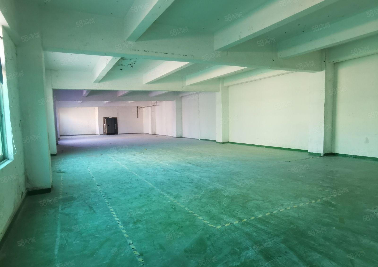 大浪新围第二工业区一楼仓库出租大浪新围一楼厂房出租