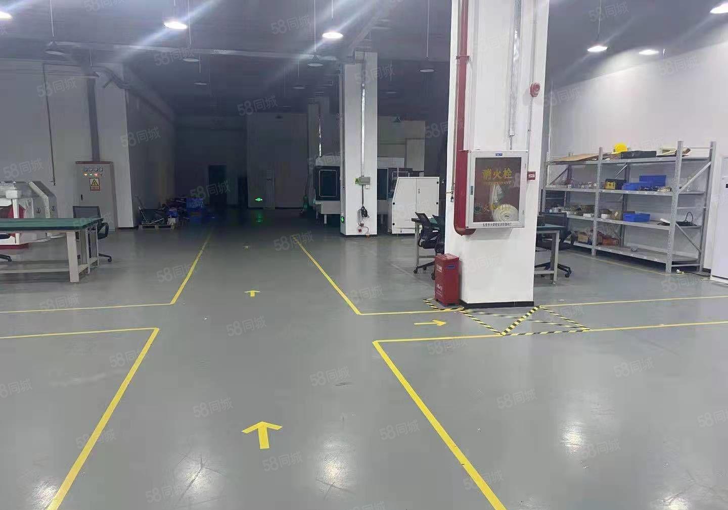 龙华大浪原房东一楼1000平精装标准厂房出租.