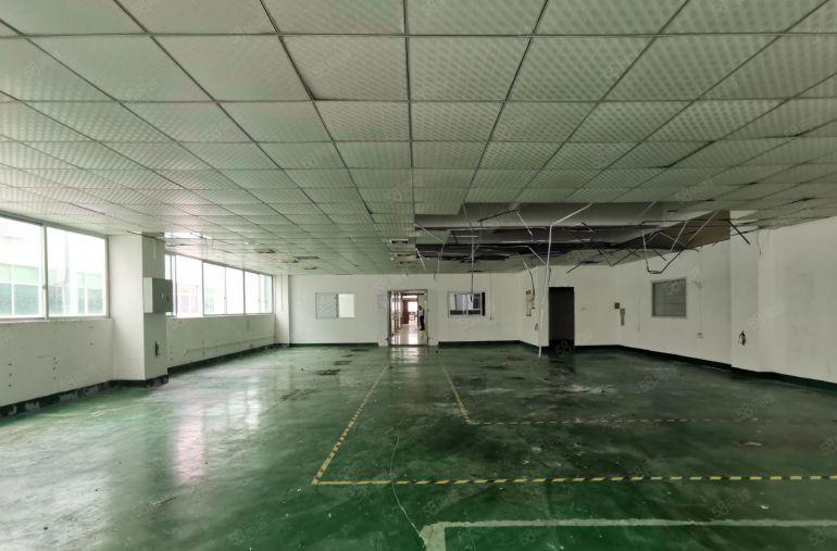 龙华大浪英泰独门独院工业园1000平方带精装修办公室厂房出租