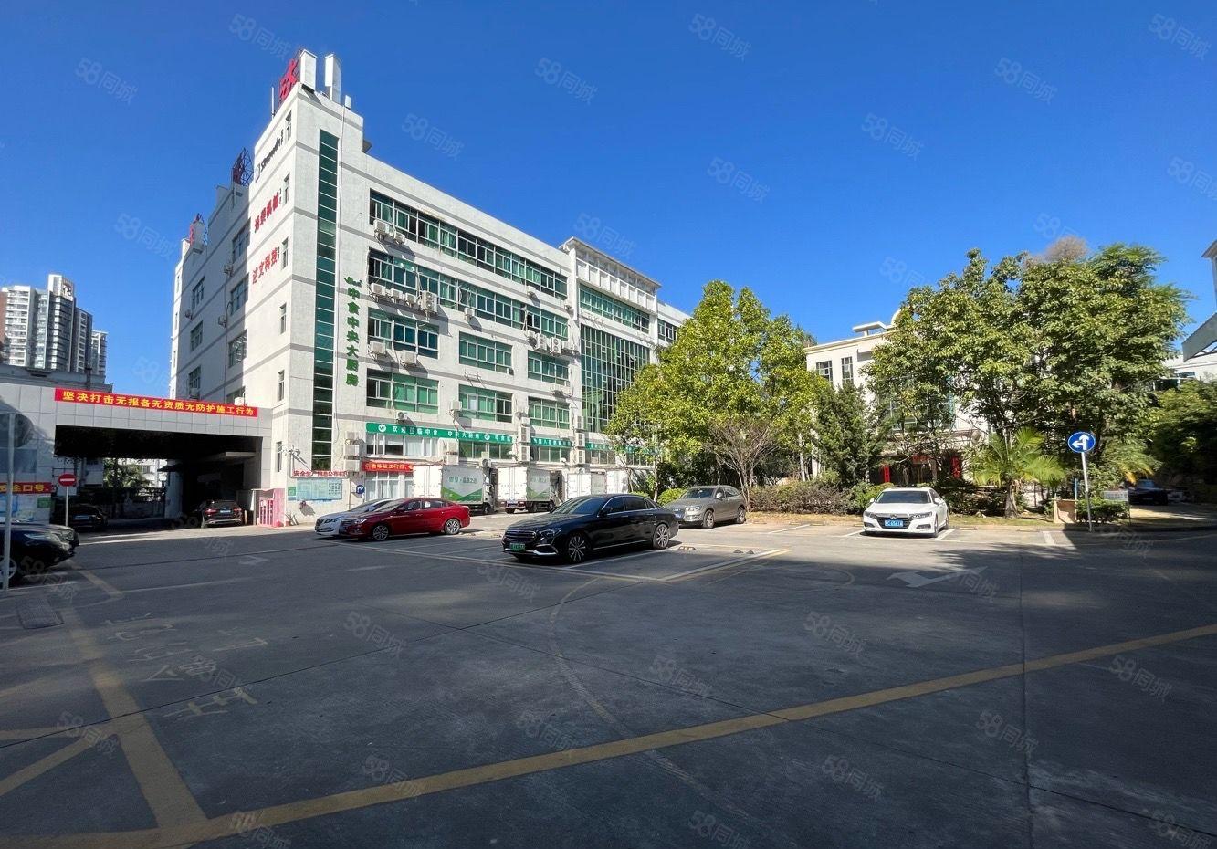 龙华清湖花半花园式厂房精装575平办公室全新装修无需装让费