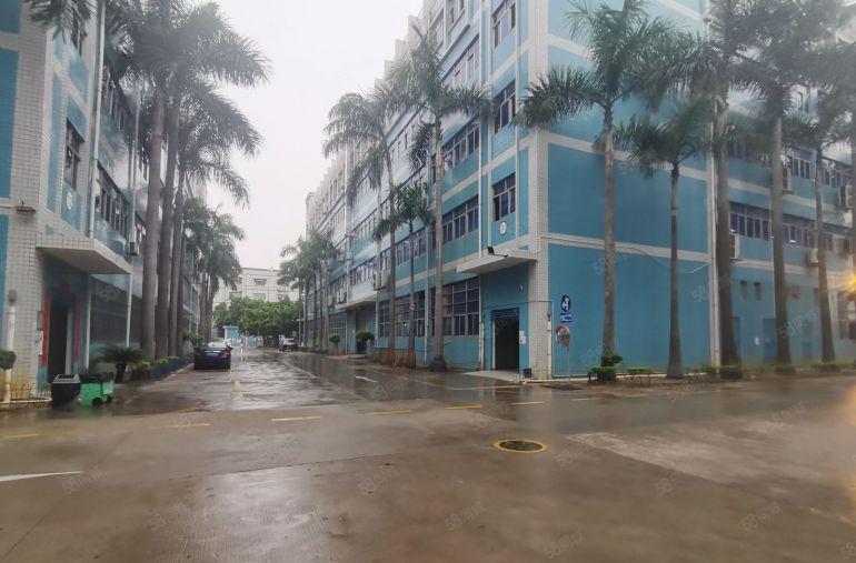 龙华厂房红本原房东整层5000平办公厂房仓库出租大小可以分租