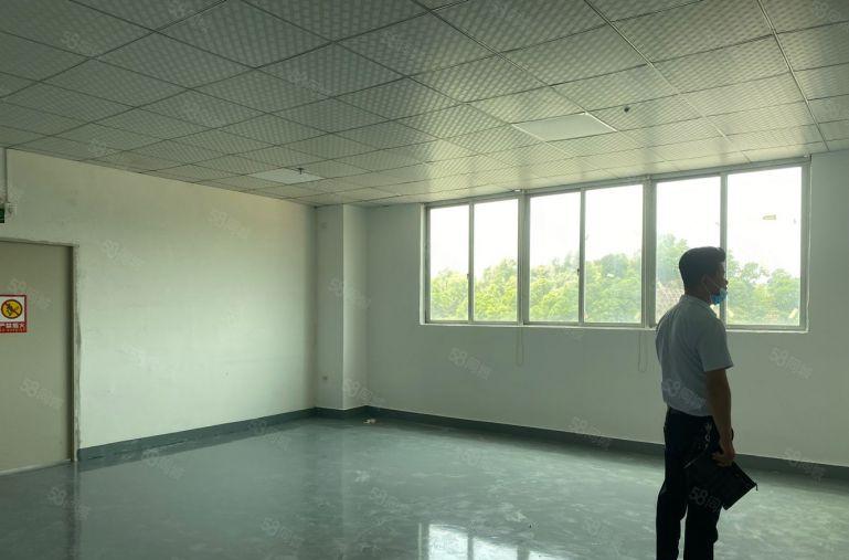 大浪小面积厂房，150平200平300平420平500平出租