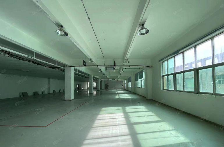 龙华大浪100平起分25元全新装修1000厂房仓库办公室出租