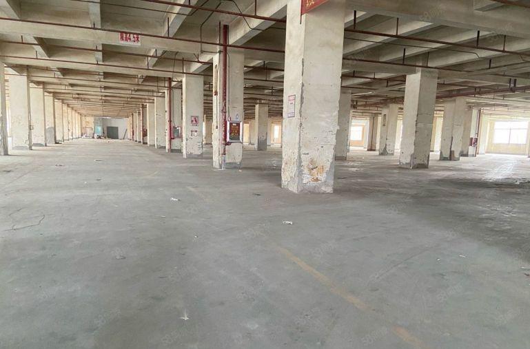 观澜章阁原房东红本厂房出租精装修1500平工业园一楼仓库招租