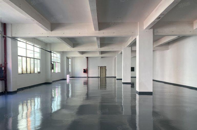 租金23元全包。龙华大浪商业中心，标准厂房仓库650平出租