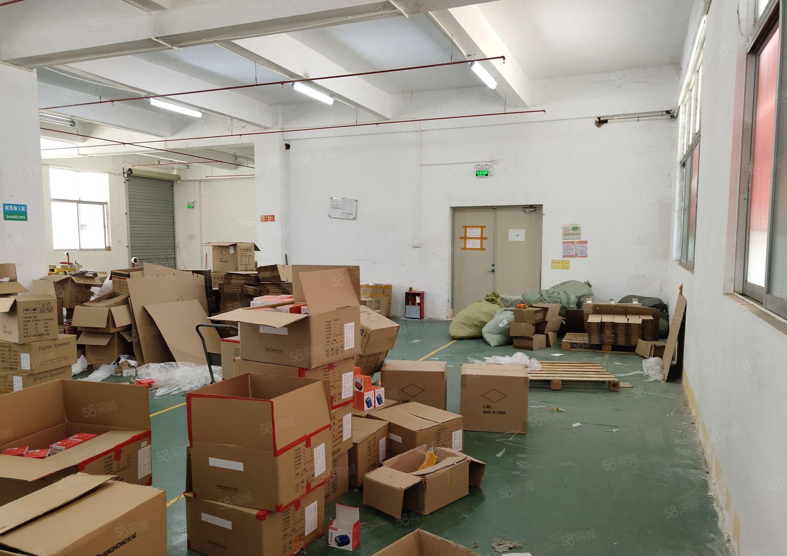 大浪新园区新出一楼475平方标准厂房出租水电齐全园区环境好