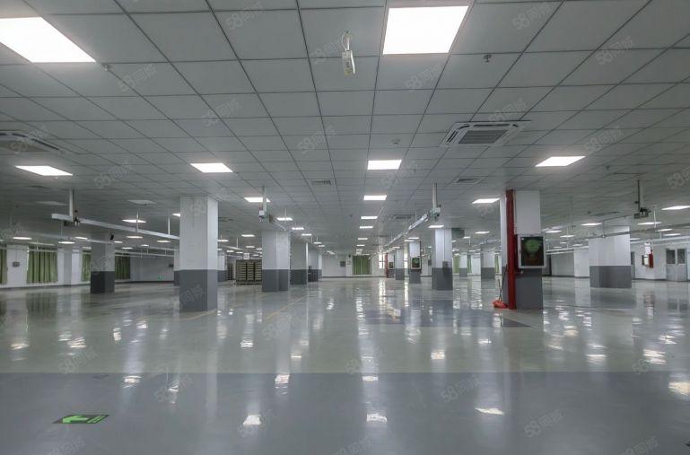 龙华地铁口无尘车间厂房出租1000平，可做电子加工生产仓储