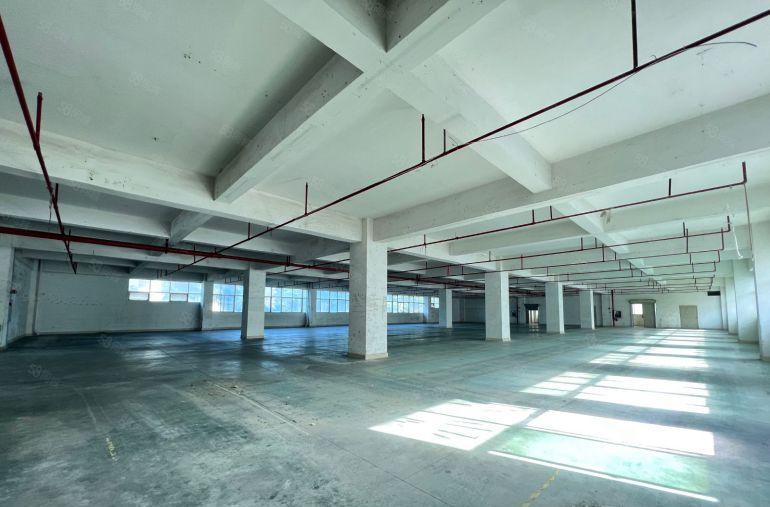 龙华清湖汽车站工业园厂房仓库出租2002000平大小可分租