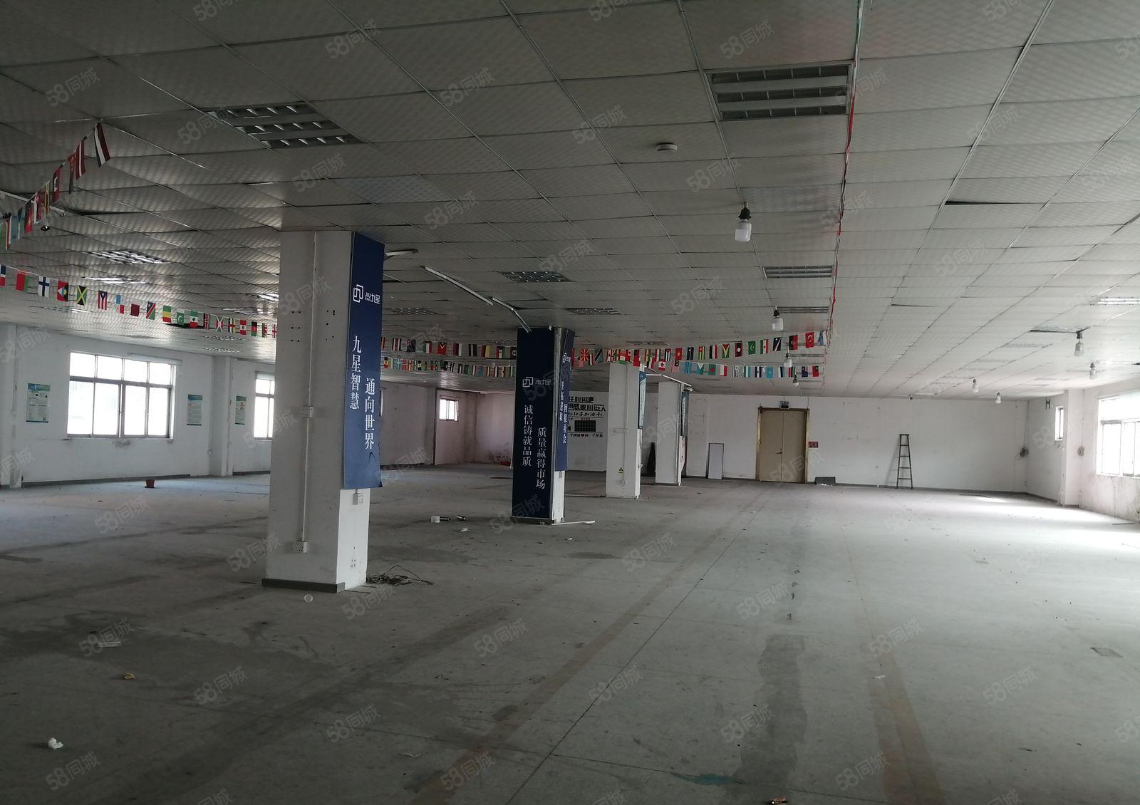 20元龙华大浪大浪南路600平车间吊顶园区形象好