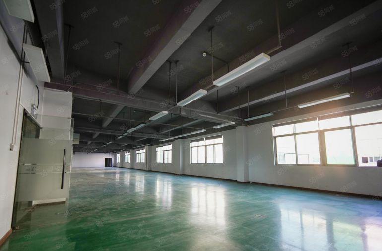 龙华清湖高速口700平米精装修厂房业主直租，可做办公小加工