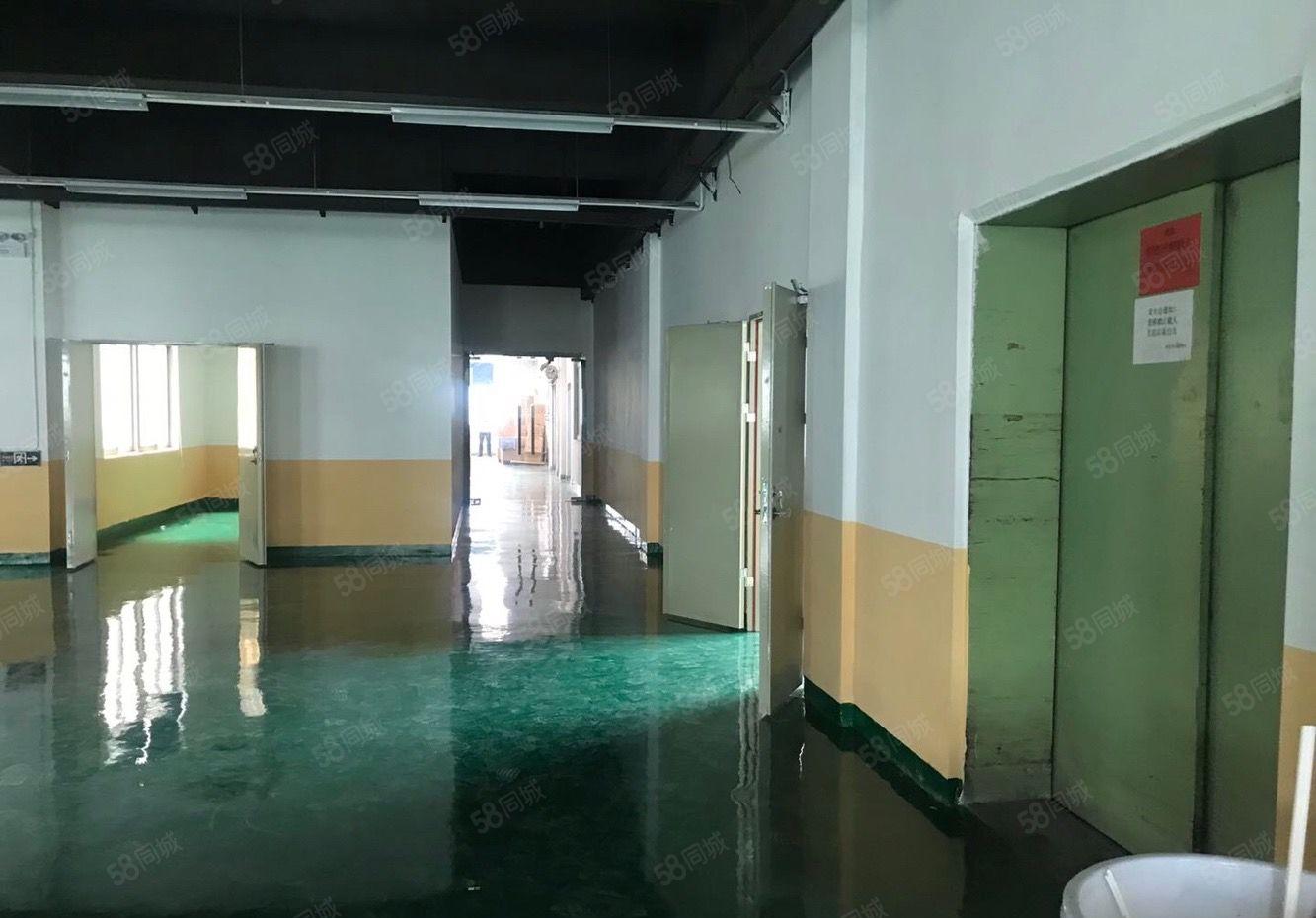 龙华大浪主干道旁！园区2300平米整层出租层高六米原房东厂房