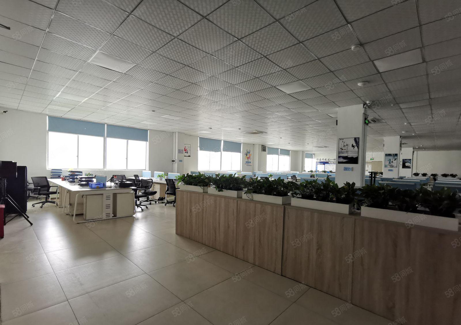 龙华上横朗500至1000平原房东整层精装修厂房出租可办环评