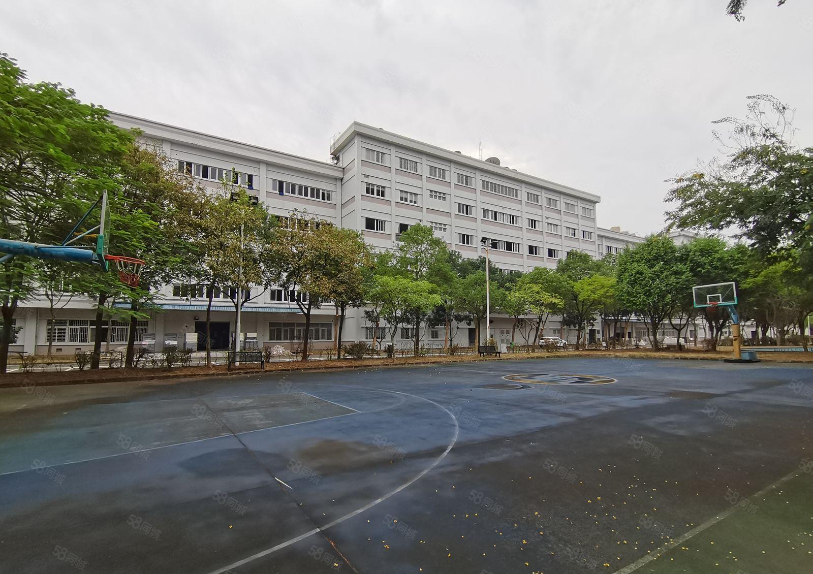 500平起租！龙华观澜独门独院厂房仓库1600平出租！