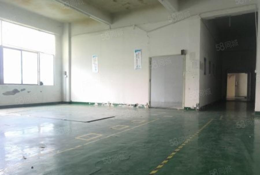 龙华中源工业区特价厂房700平原房东直租，龙华中心区