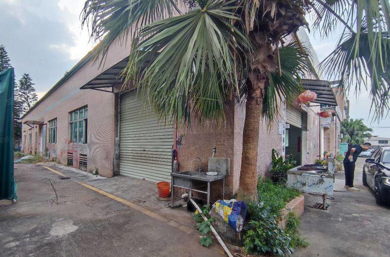 观澜标准一楼厂房出租560平方 空地大，面积实