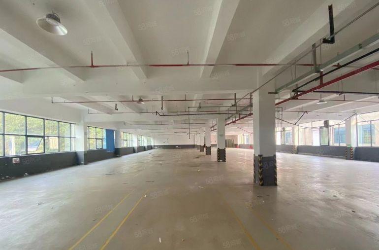 精装全新独栋4500平，可分租，形象玻璃幕墙外观，有两吨货梯