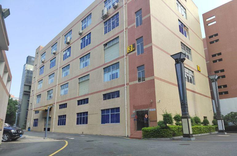 龙华大浪650平精装办公室加车间仓库低价出租200平起可分租