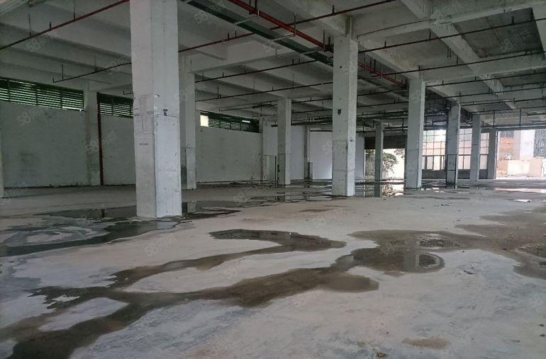 龙华独门独院3650平 前后超大空地 上下两层