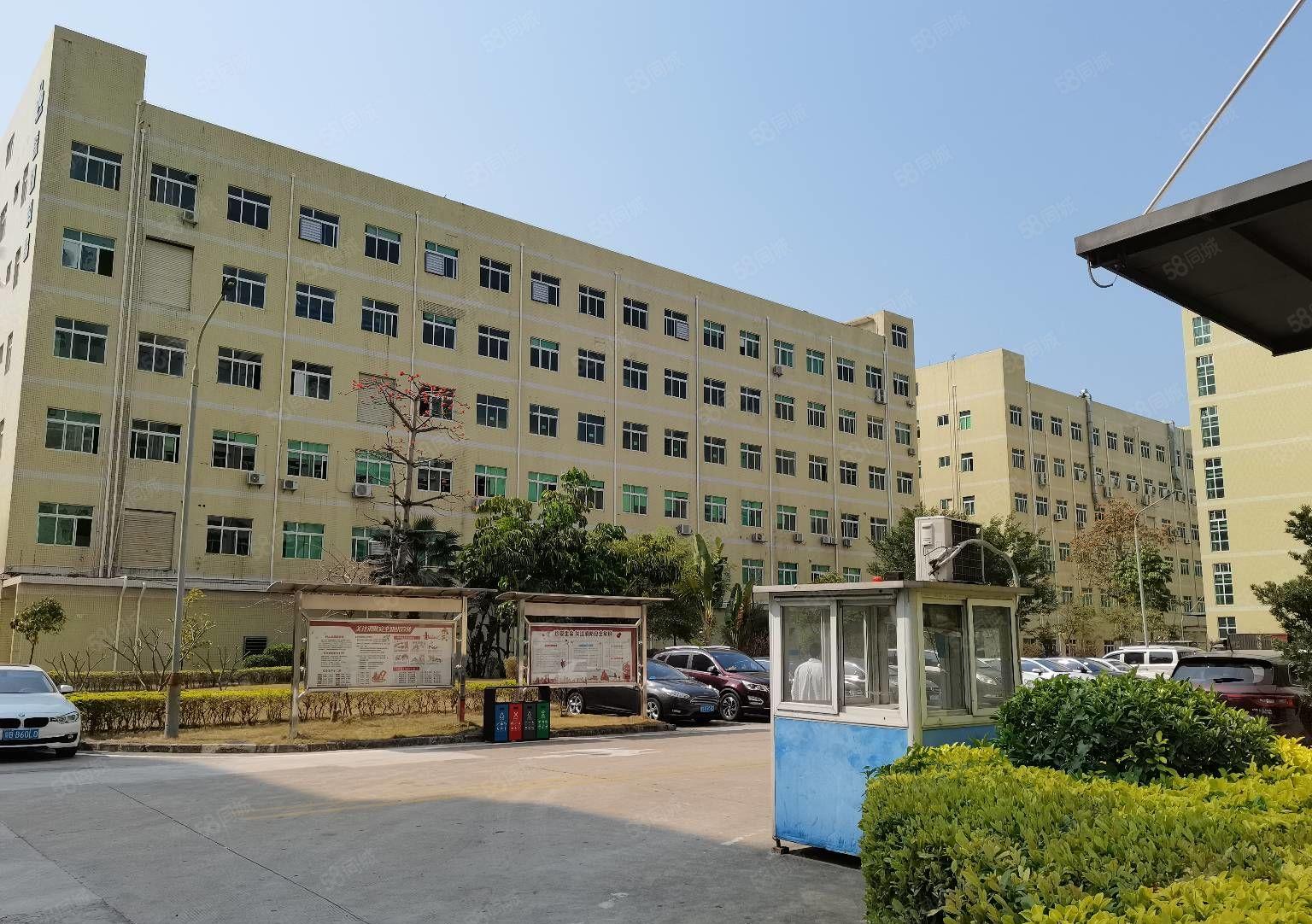 龙华大浪工业园新出一楼二楼带装修2150平厂房出租大小可分租