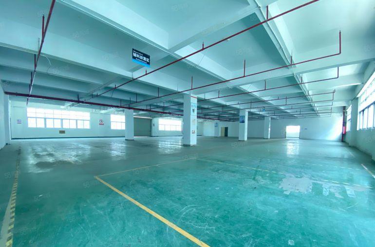 龙华大浪原房东工业园精装修厂房出租一楼300平起分租仓库