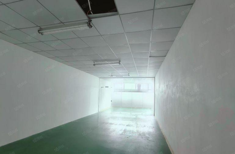 大浪850平带装修厂房可分租