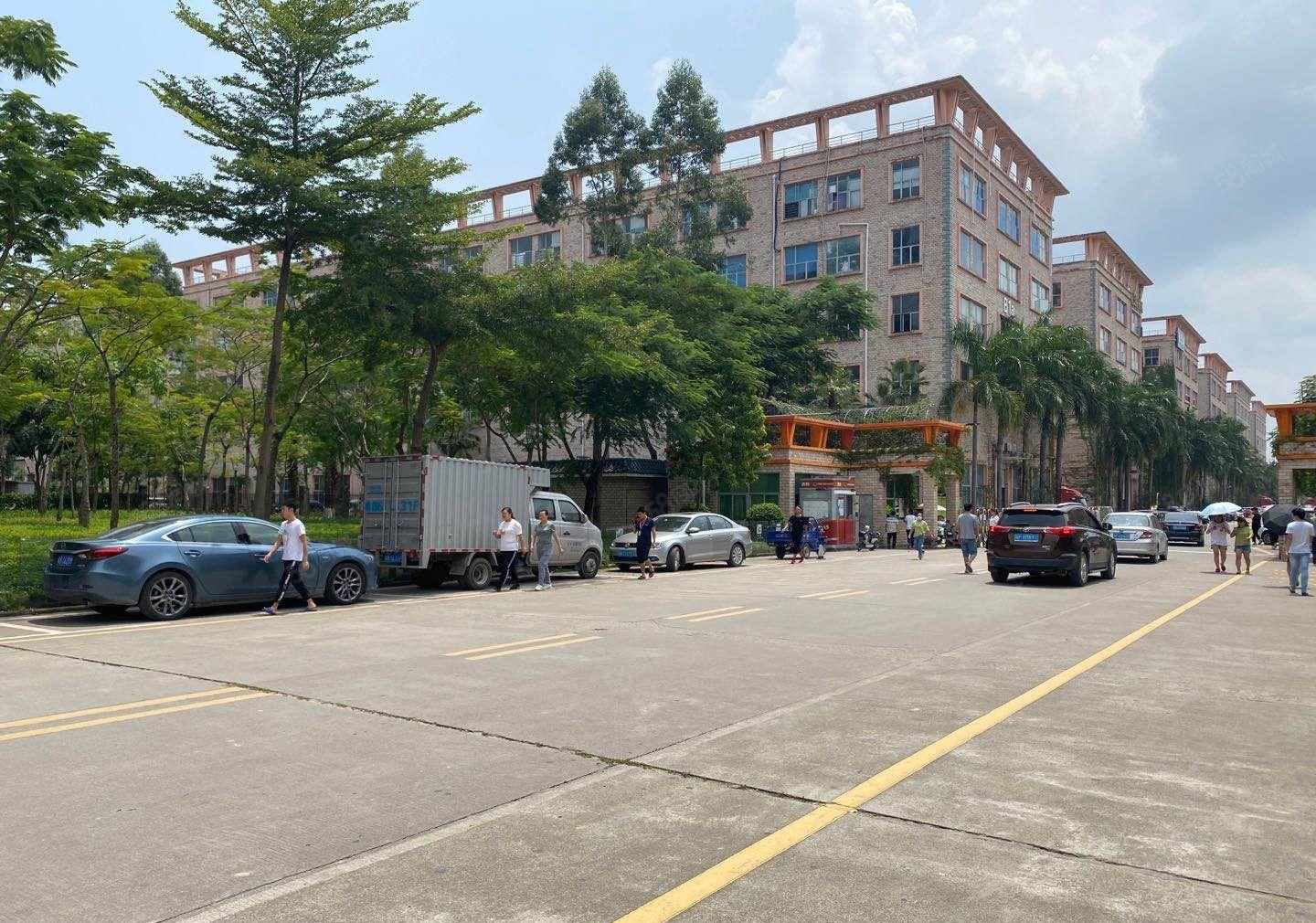 龙华大浪精装修1000平厂房出租带有红本能办环评可分租