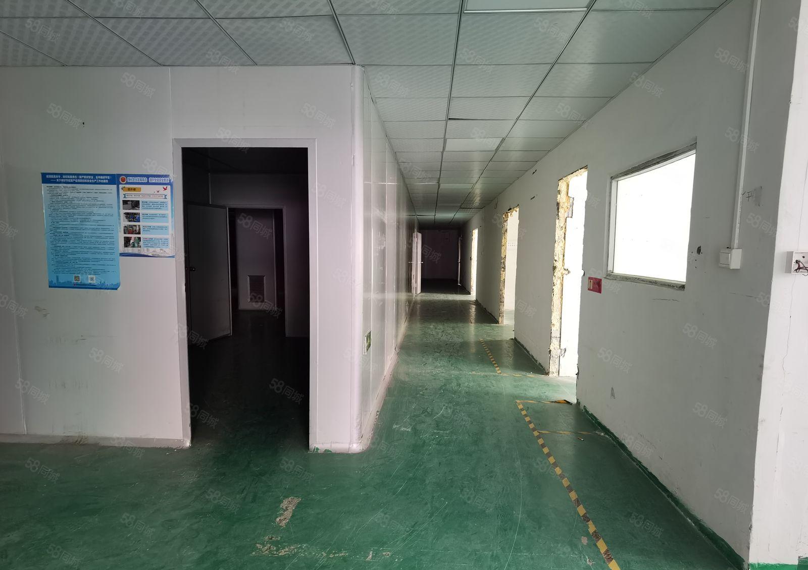 深圳龙华大浪原房东标准厂房楼上整层1500平出租带装修采光好