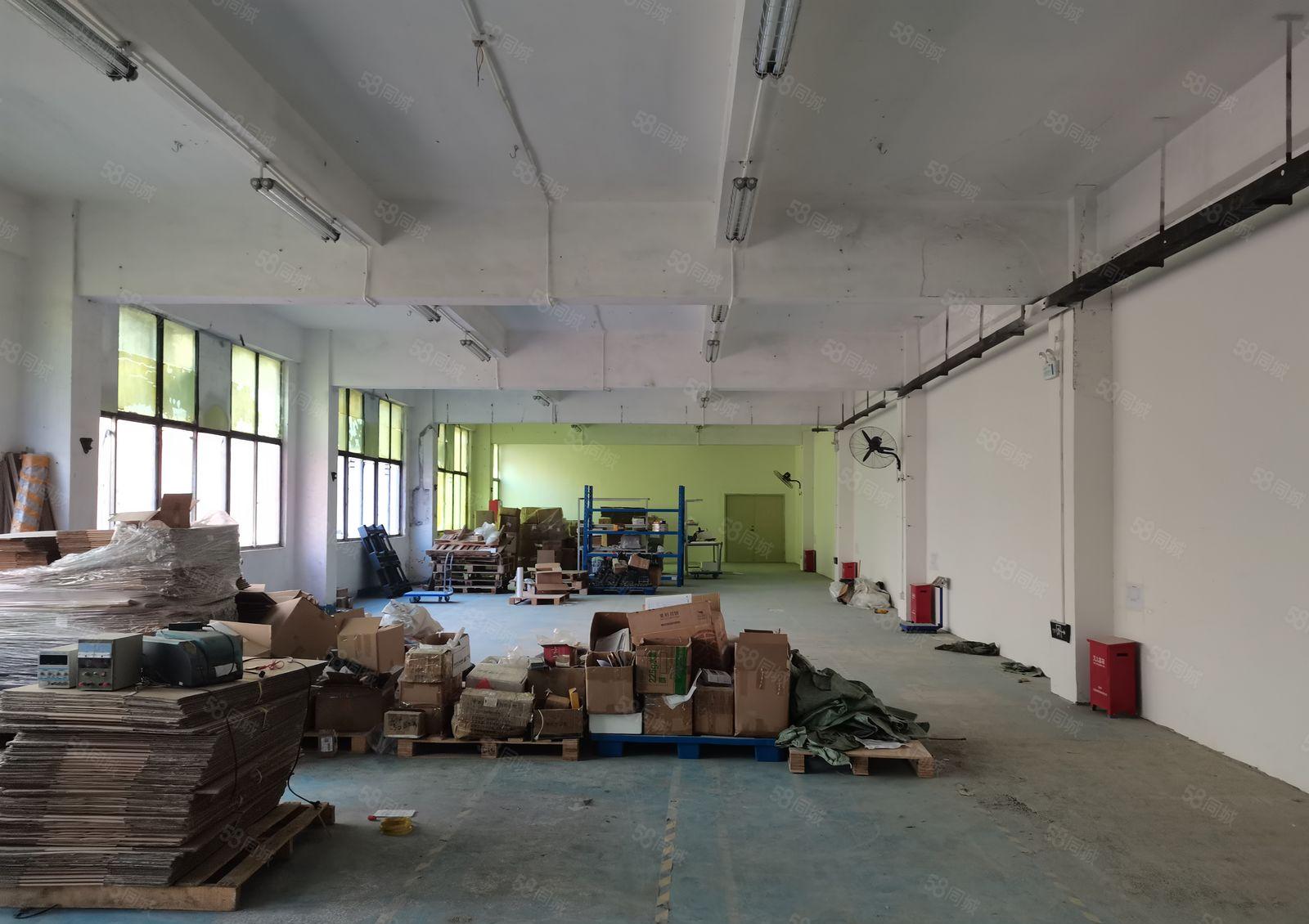 深圳龙华新区观澜主干道工业楼上标准精装修580平米，拎包入住